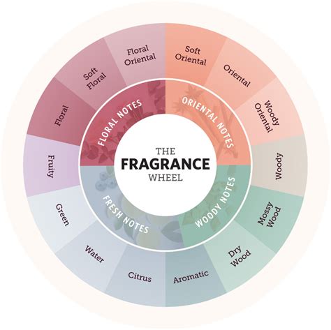 scents that are similar to curve